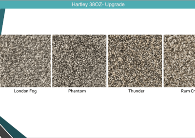 Carpet Options (3)